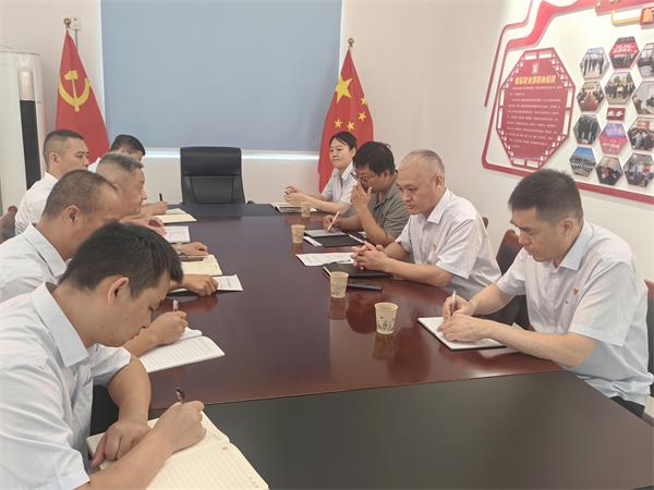 公司領(lǐng)導(dǎo)調(diào)研指導(dǎo)鼎信公司、藍(lán)盾...